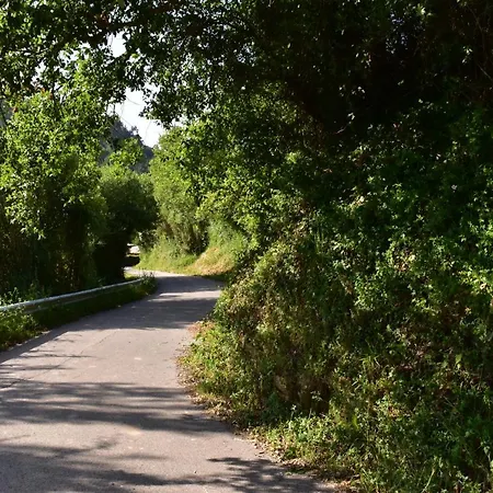 第五日住宿加早餐旅馆 住宿加早餐酒店 4*