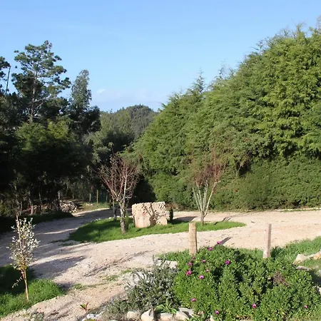 第五日住宿加早餐旅馆