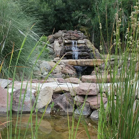 第五日住宿加早餐旅馆 住宿加早餐酒店 4*