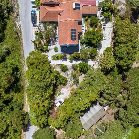 第五日住宿加早餐旅馆 4* Carvalhal Bemfeito