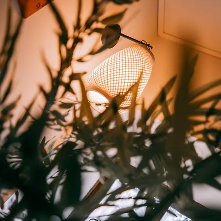 B&B Quinta Japonesa Carvalhal Bemfeito