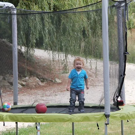 第五日住宿加早餐旅馆 4* Carvalhal Bemfeito