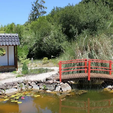 第五日住宿加早餐旅馆 4* Carvalhal Bemfeito