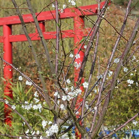 Quinta Japonesa Nocleg ze śniadaniem Carvalhal Bemfeito