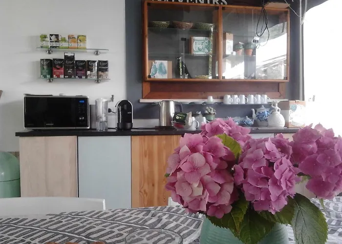 Bed & Breakfast Quinta Japonesa