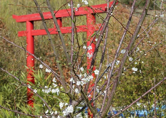 Quinta Japonesa Bed & Breakfast Carvalhal Bemfeito